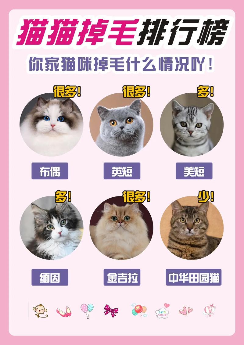 养猫人不想抱猫怕掉毛:养猫人不想抱猫怕掉毛怎么回事