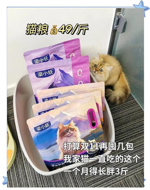 穷人的猫饭:穷人的猫怎么养