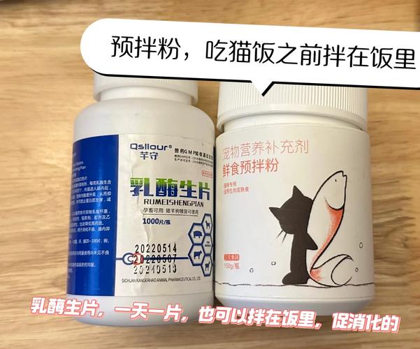 穷人猫饭推荐测评:穷人家的猫给吃什么
