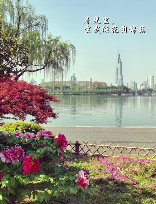 玄武湖面积与西湖面积:玄武湖面积与西湖面积对比