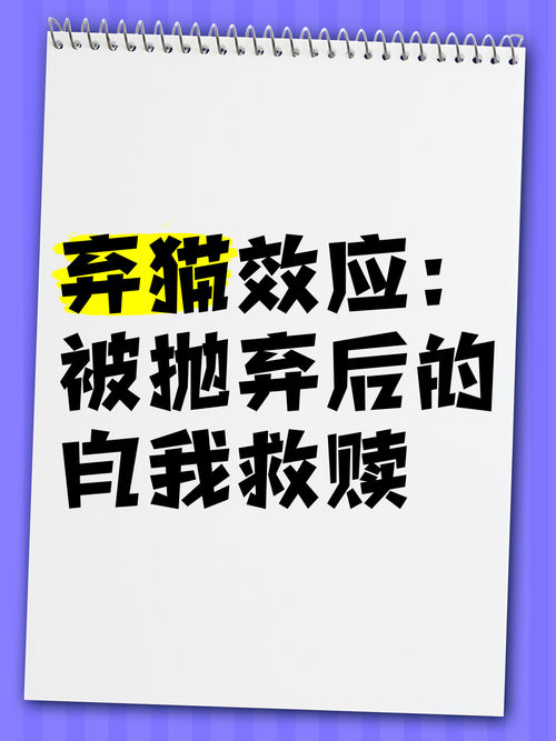 不舍得把猫送走:不舍得把猫送走又没办法养了